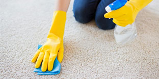 Carpet Odour Removal