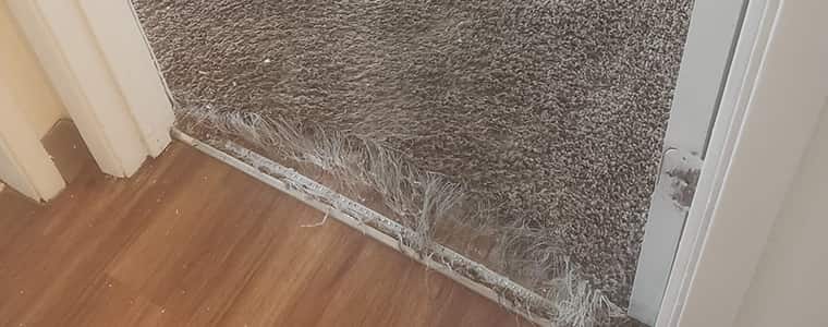 Carpet Repair Urila
