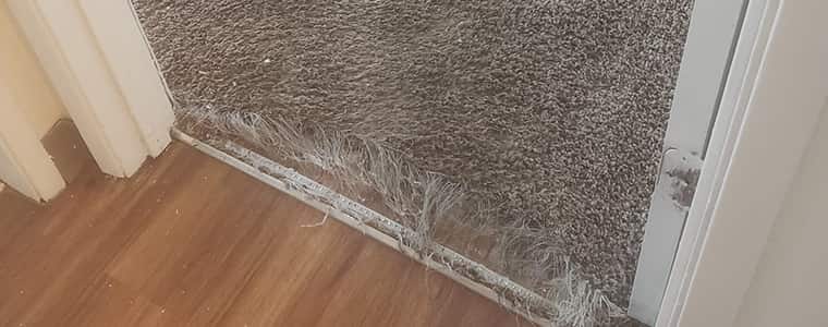 Carpet Repair Sutton