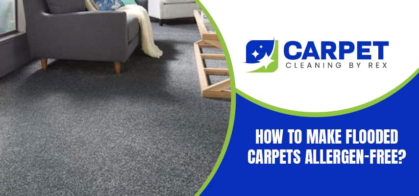 Make Flooded Carpets Allergen-Free