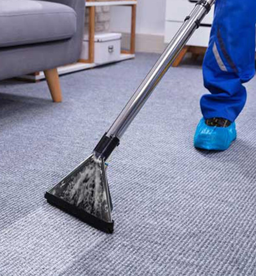 Carpet Cleaning 