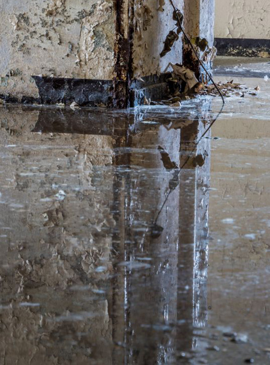 Flood Restoration Services