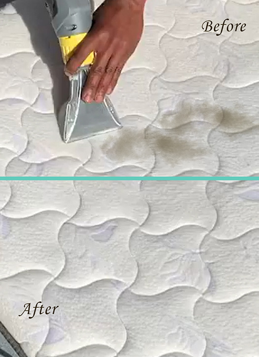 Rug Cleaning Process